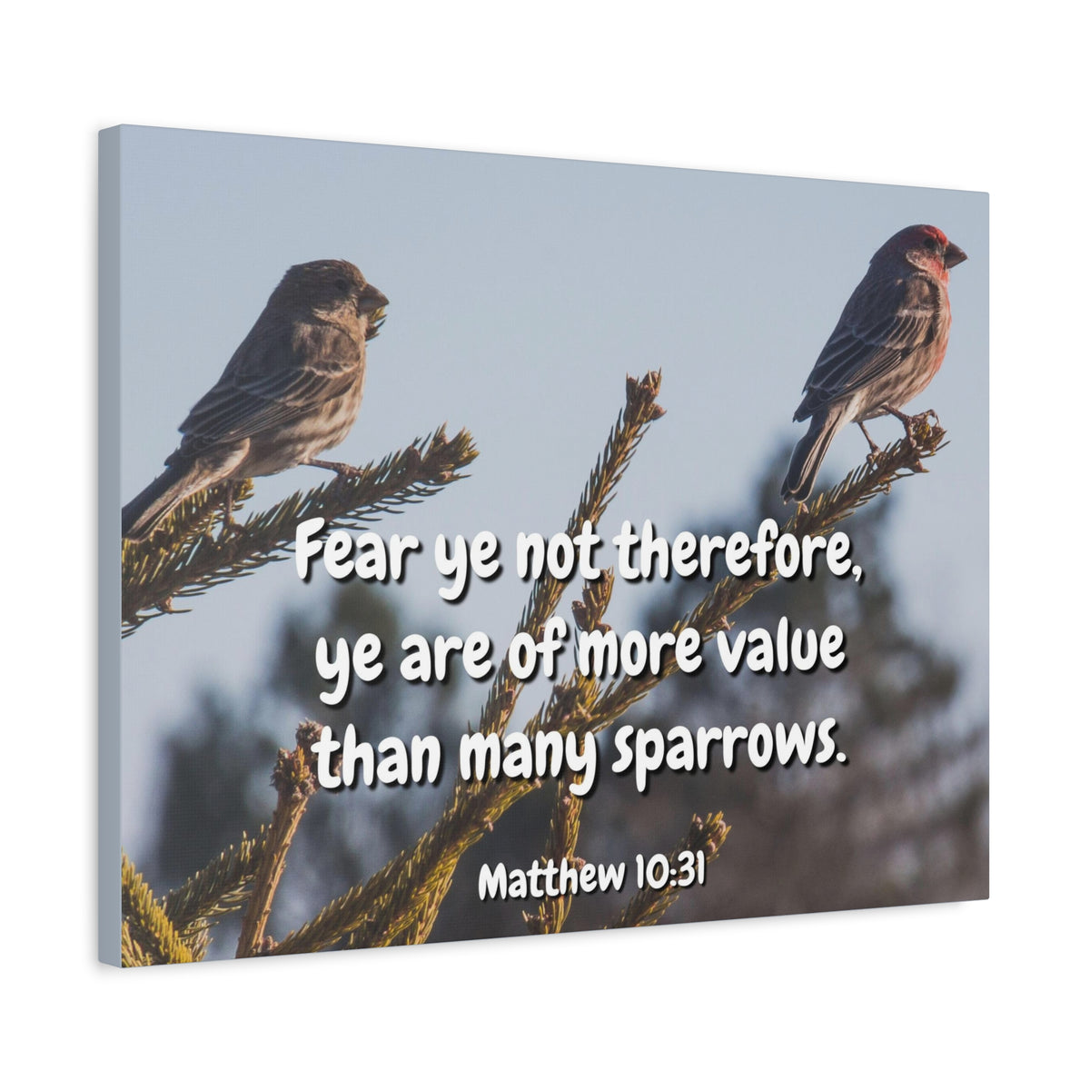 Scripture Canvas More Value Matthew 10:31 Christian Wall Art Bible Verse Print Ready to Hang