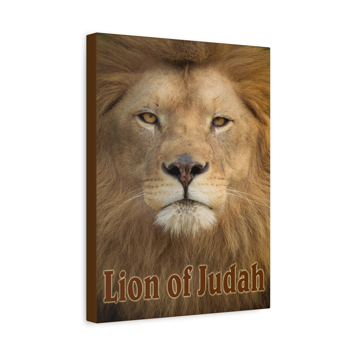 Scripture Canvas Lion of Judah Christian Wall Art Bible Verse Print Ready to Hang
