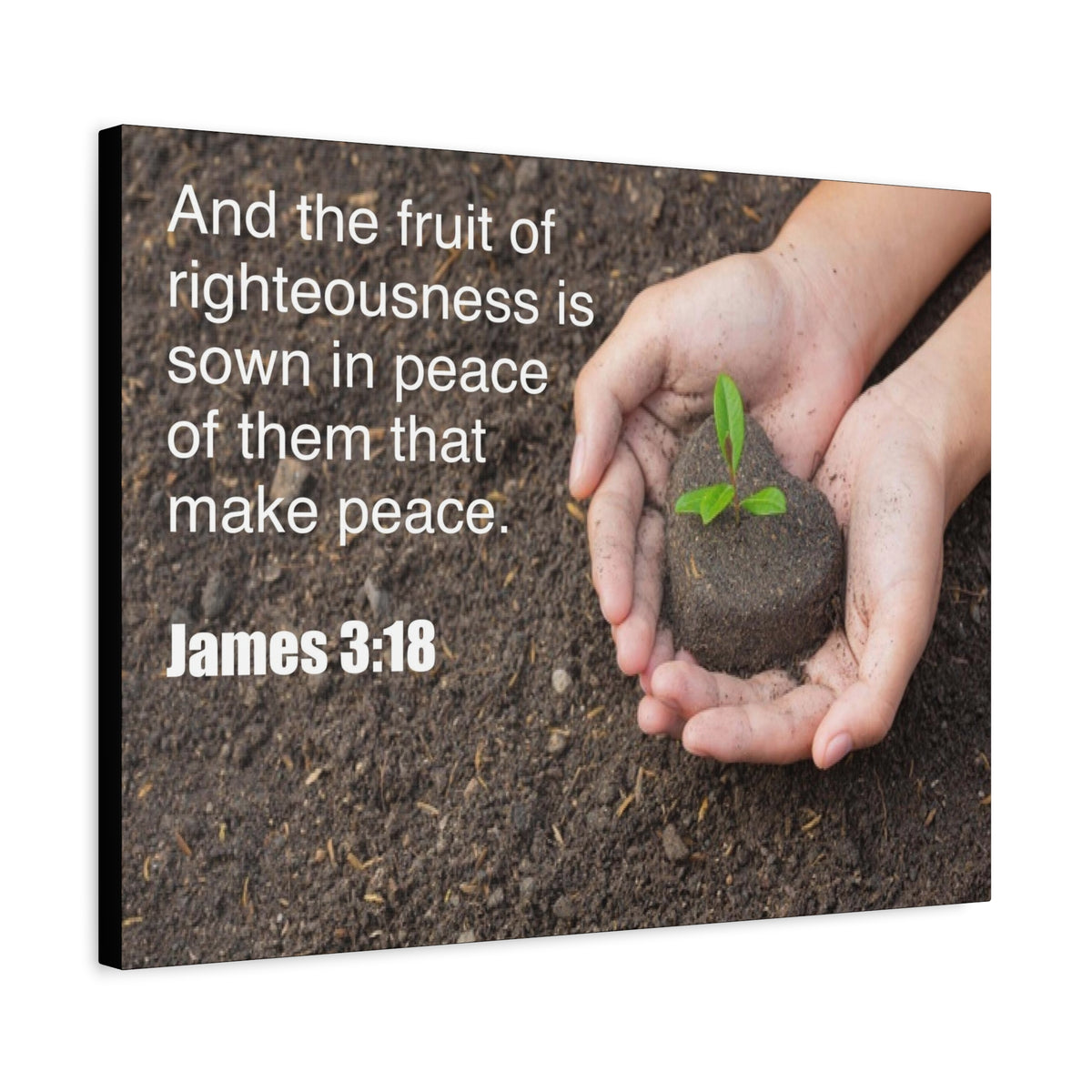 Scripture Canvas Fruit of Righteousness James 3:18 Christian Wall Art Bible Verse Print Ready to Hang