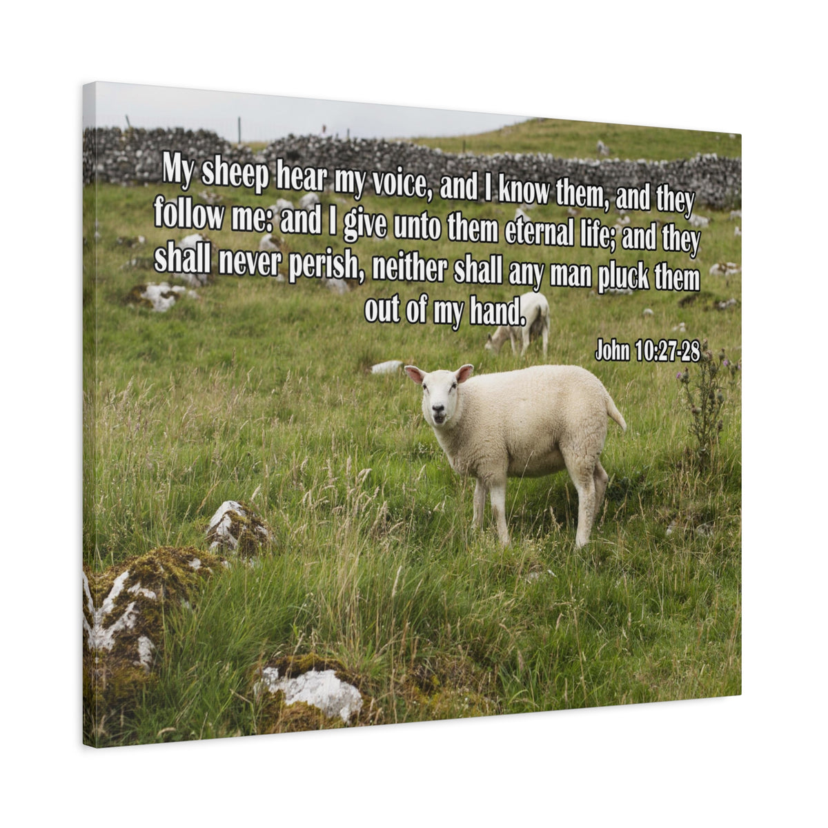 Scripture Canvas Hear My Voice John 10:27-28 Christian Wall Art Bible Verse Print Ready to Hang