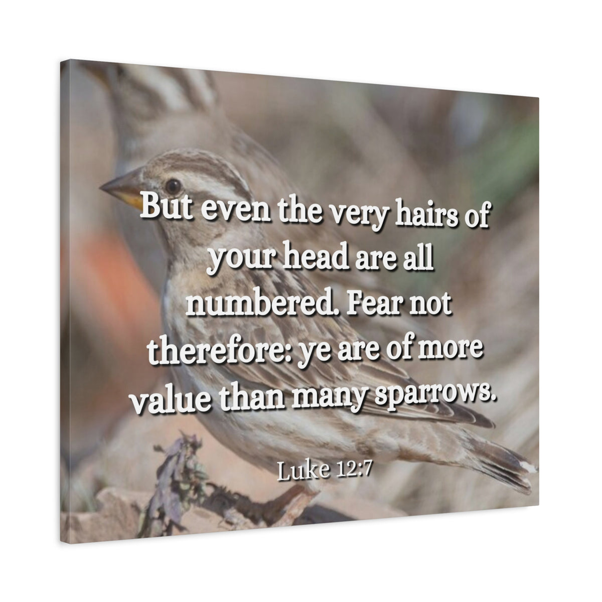 Scripture Canvas Forgotten Luke 12:7 Christian Wall Art Bible Verse Print Ready to Hang