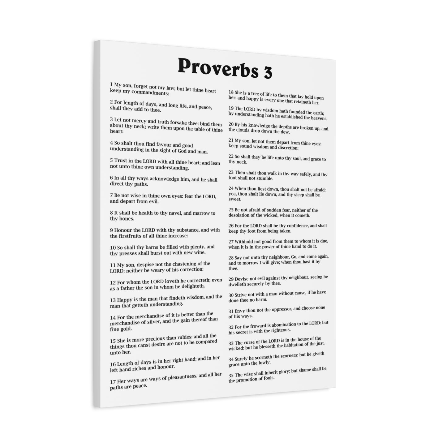 Scripture Walls Proverbs Chapter 3 White Bible Canvas Christian Wall Art Ready to Hang Unframed