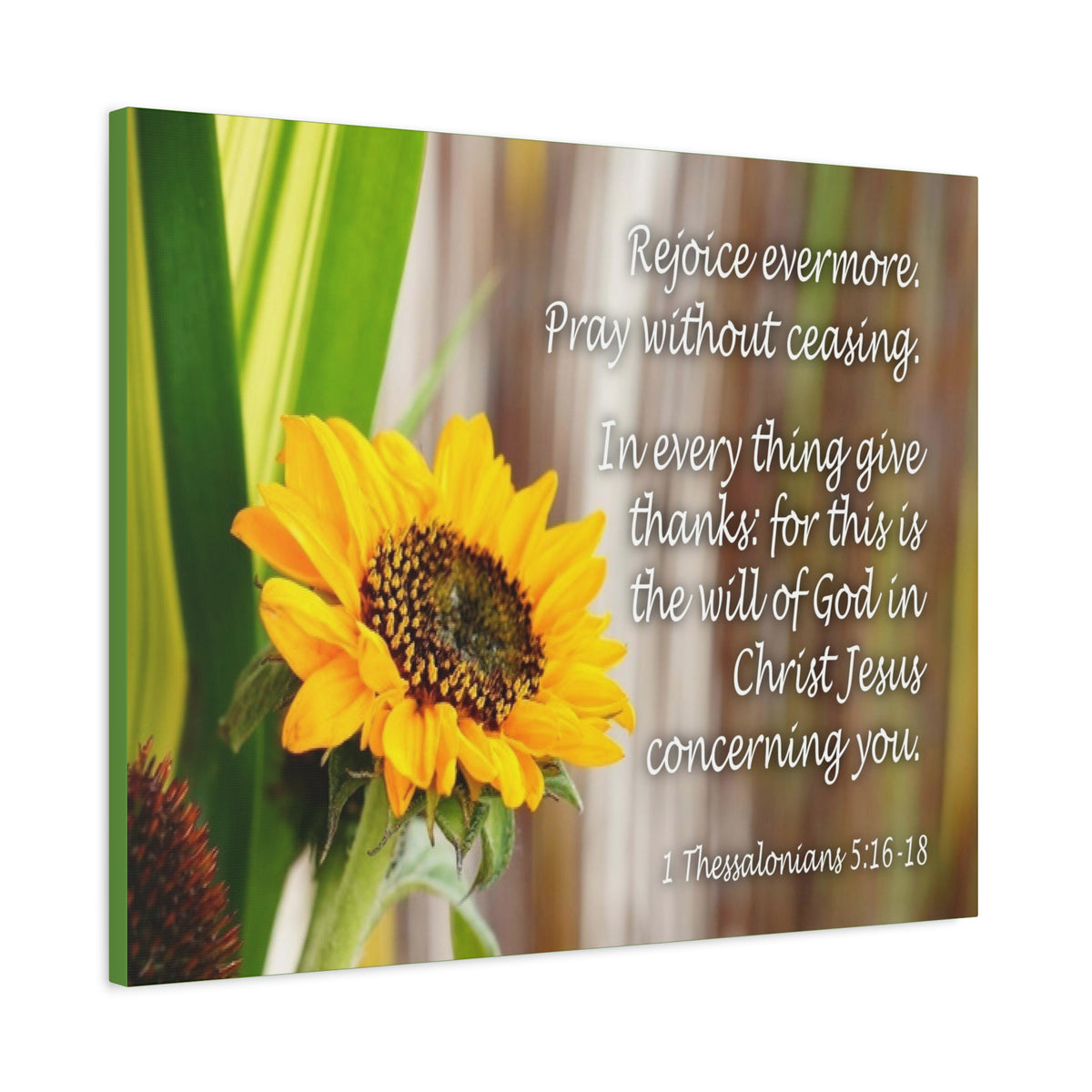 Scripture Canvas Rejoice Evermore 1 Thessalonians 5:16-18 Christian Wall Art Bible Verse Print Ready to Hang