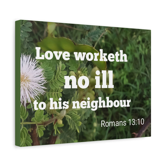 Scripture Canvas Neighbor Romans 13:10 Christian Wall Art Bible Verse Print Ready to Hang