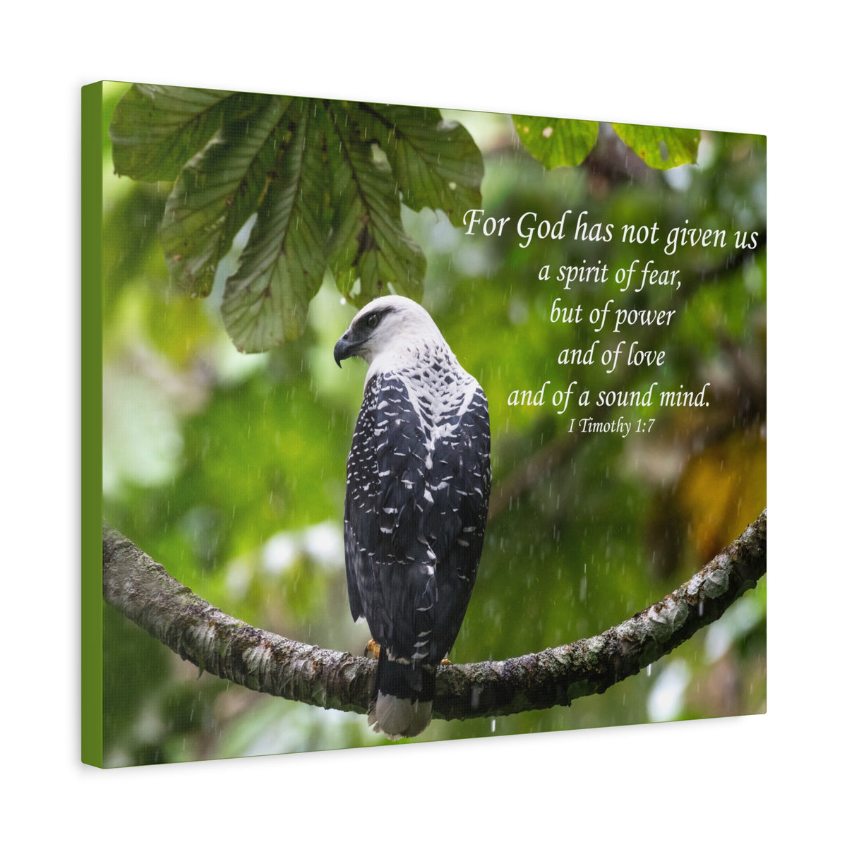 Scripture Canvas A Sound Mind 1 Timothy 1:7 Christian Wall Art Bible Verse Print Ready to Hang