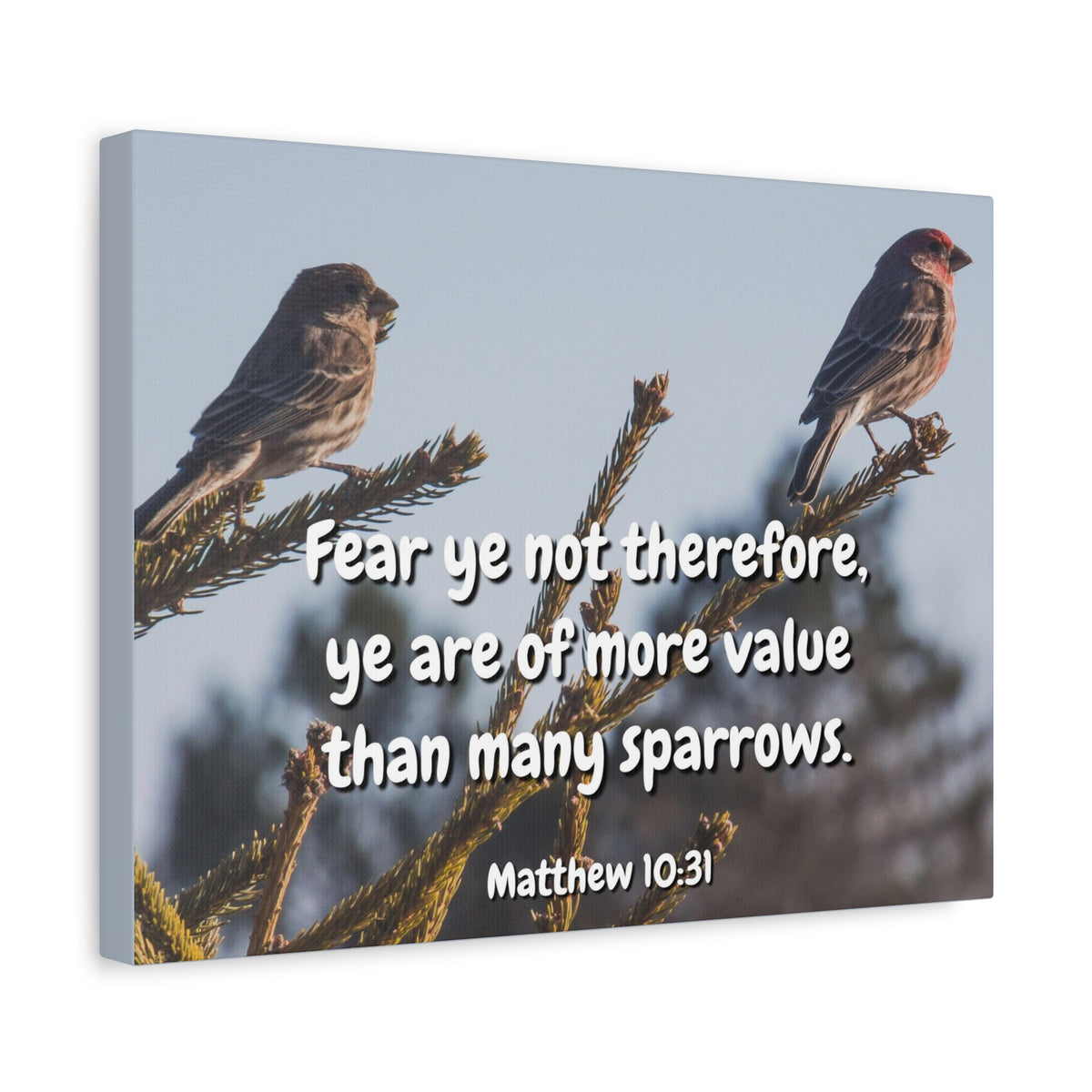 Scripture Canvas More Value Matthew 10:31 Christian Wall Art Bible Verse Print Ready to Hang