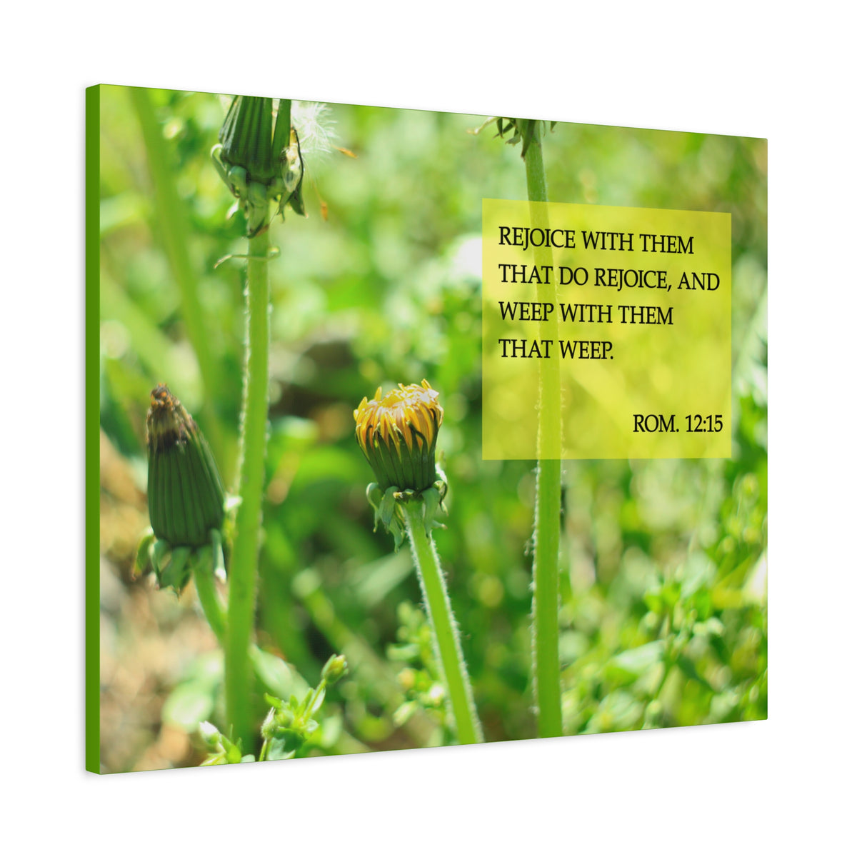 Scripture Canvas Rejoice With Them Rom 12:15 Christian Wall Art Bible Verse Print Ready to Hang