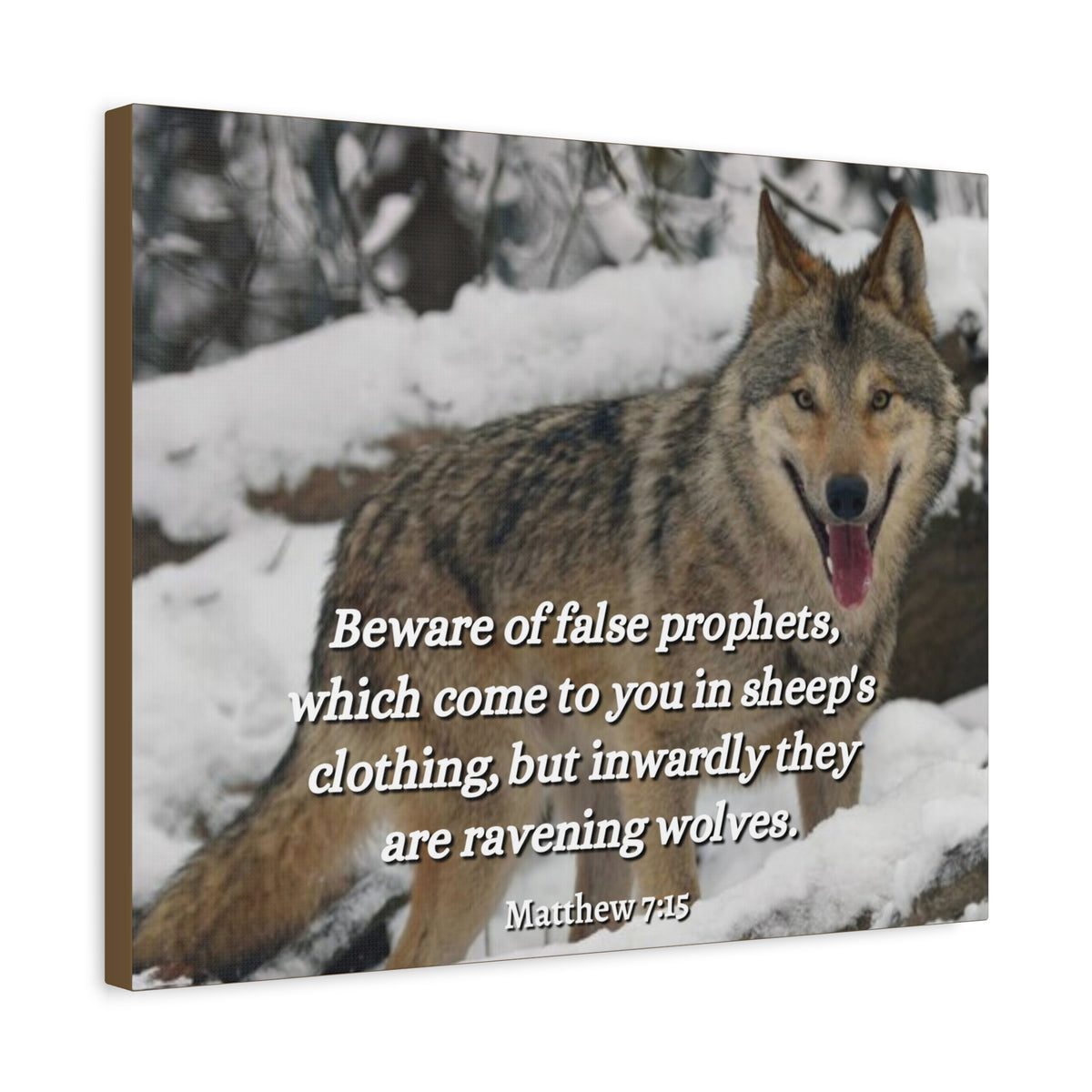 Scripture Canvas False Prophets Matthew 7:15 Christian Wall Art Bible Verse Print Ready to Hang