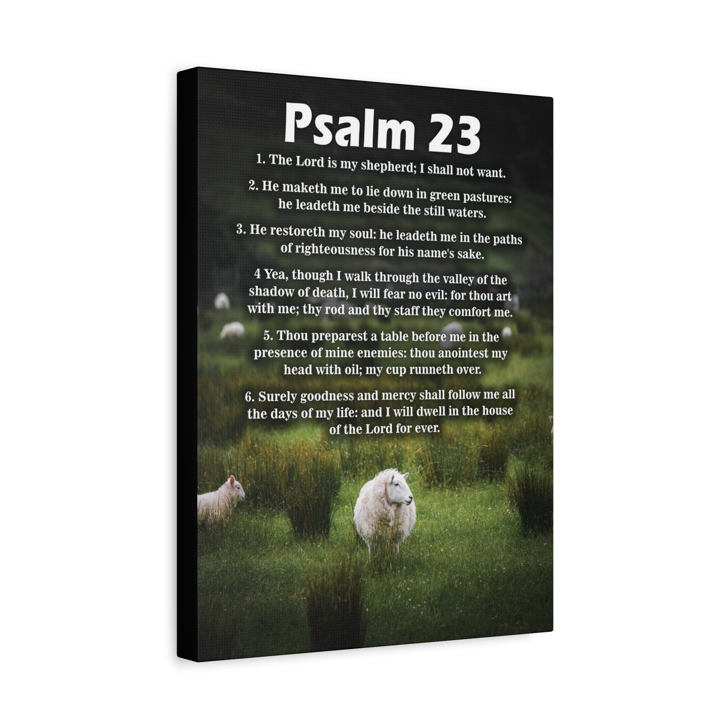 Scripture Walls The Lord is My Shepherd Psalm 23:3 Christian Wall Art Bible Verse Print Ready to Hang