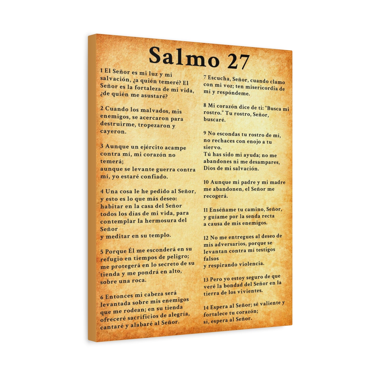 Scripture Walls Salmo 27 Chapter Gold Christian Wall Art Print Ready to Hang Unframed