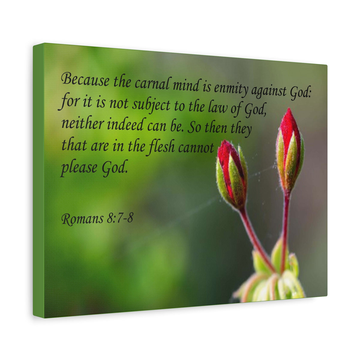 Scripture Canvas Carnal Mind Romans 8:7-8 Christian Wall Art Bible Verse Print Ready to Hang