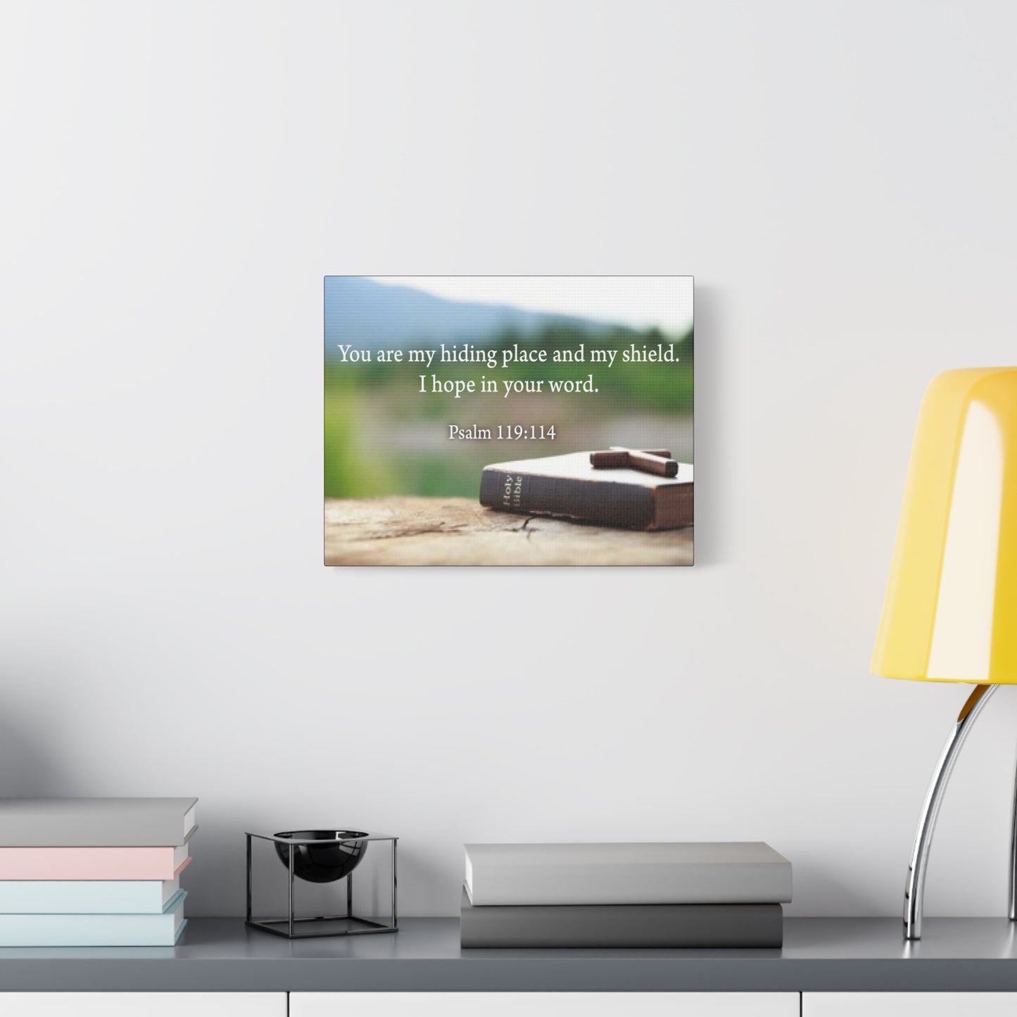 Scripture Walls Hiding Place Psalm 119:114 Bible Verse Canvas Christian Wall Art Ready to Hang