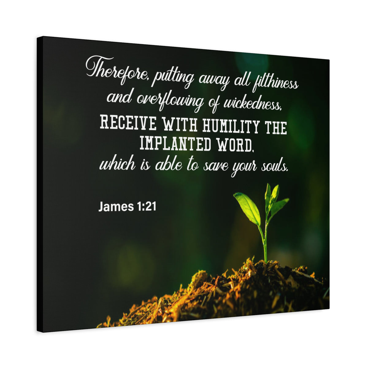 Scripture Canvas Implanted Word James 1:21 Christian Wall Art Bible Verse Print Ready to Hang