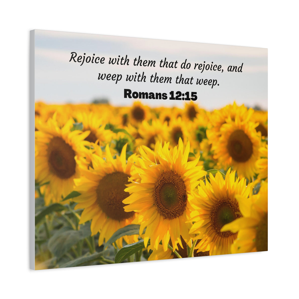 Scripture Canvas Rejoice With Them Romans 12:15 Sunflower Christian Wall Art Bible Verse Print Ready to Hang