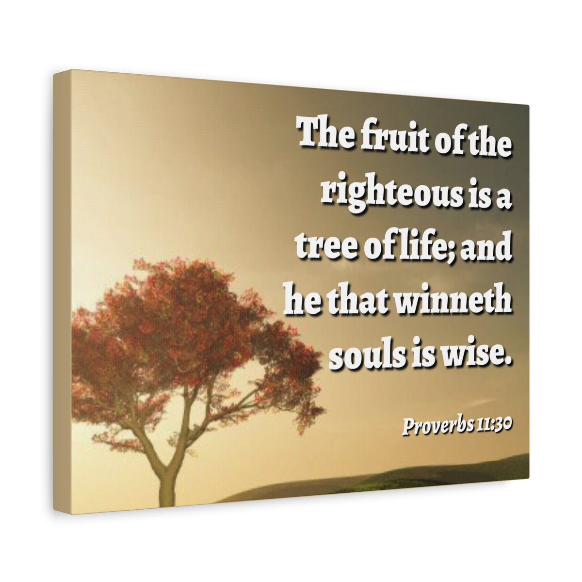 Scripture Canvas Tree Of Life Proverbs 11:30 Christian Wall Art Bible Verse Print Ready to Hang