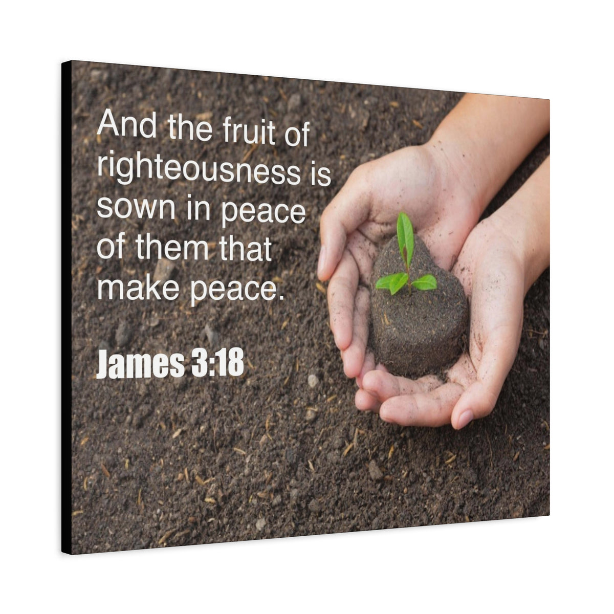 Scripture Canvas Fruit of Righteousness James 3:18 Christian Wall Art Bible Verse Print Ready to Hang