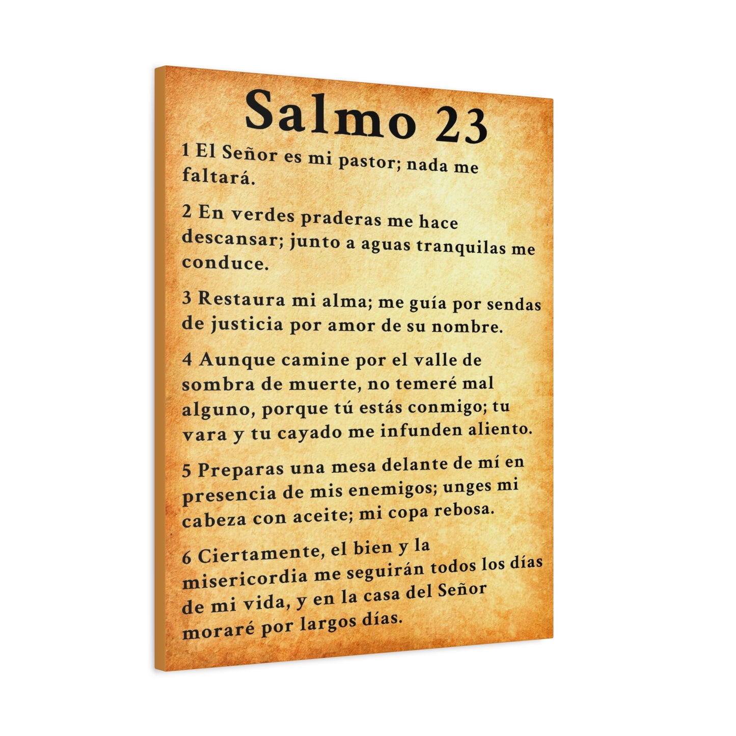 Scripture Walls Salmo 23 Chapter Gold Christian Wall Art Print Ready to Hang Unframed