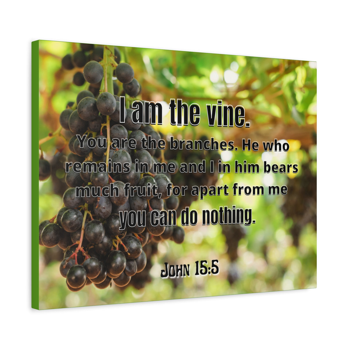 Scripture Canvas I Am The Vine John 15:5 Christian Wall Art Bible Verse Print Ready to Hang