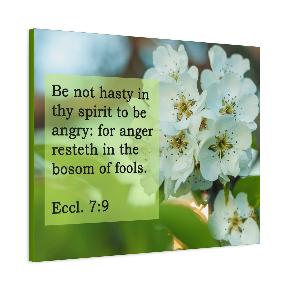 Scripture Canvas Be Not Hasty Ecclesiastes 7:9 Christian Wall Art Bible Verse Print Ready to Hang