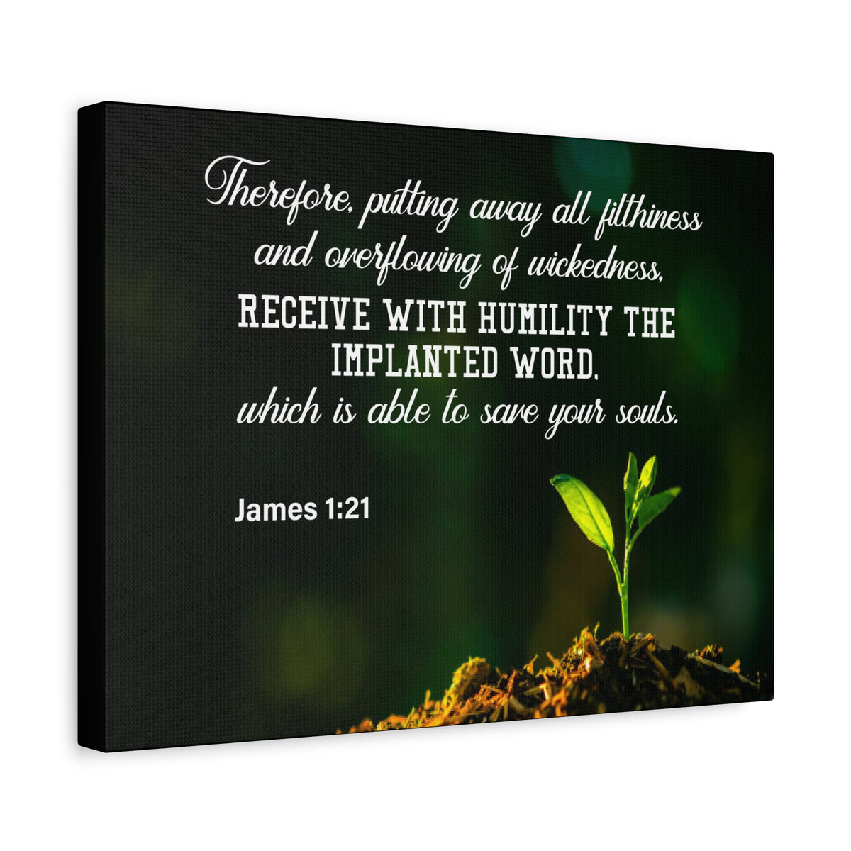 Scripture Canvas Implanted Word James 1:21 Christian Wall Art Bible Verse Print Ready to Hang