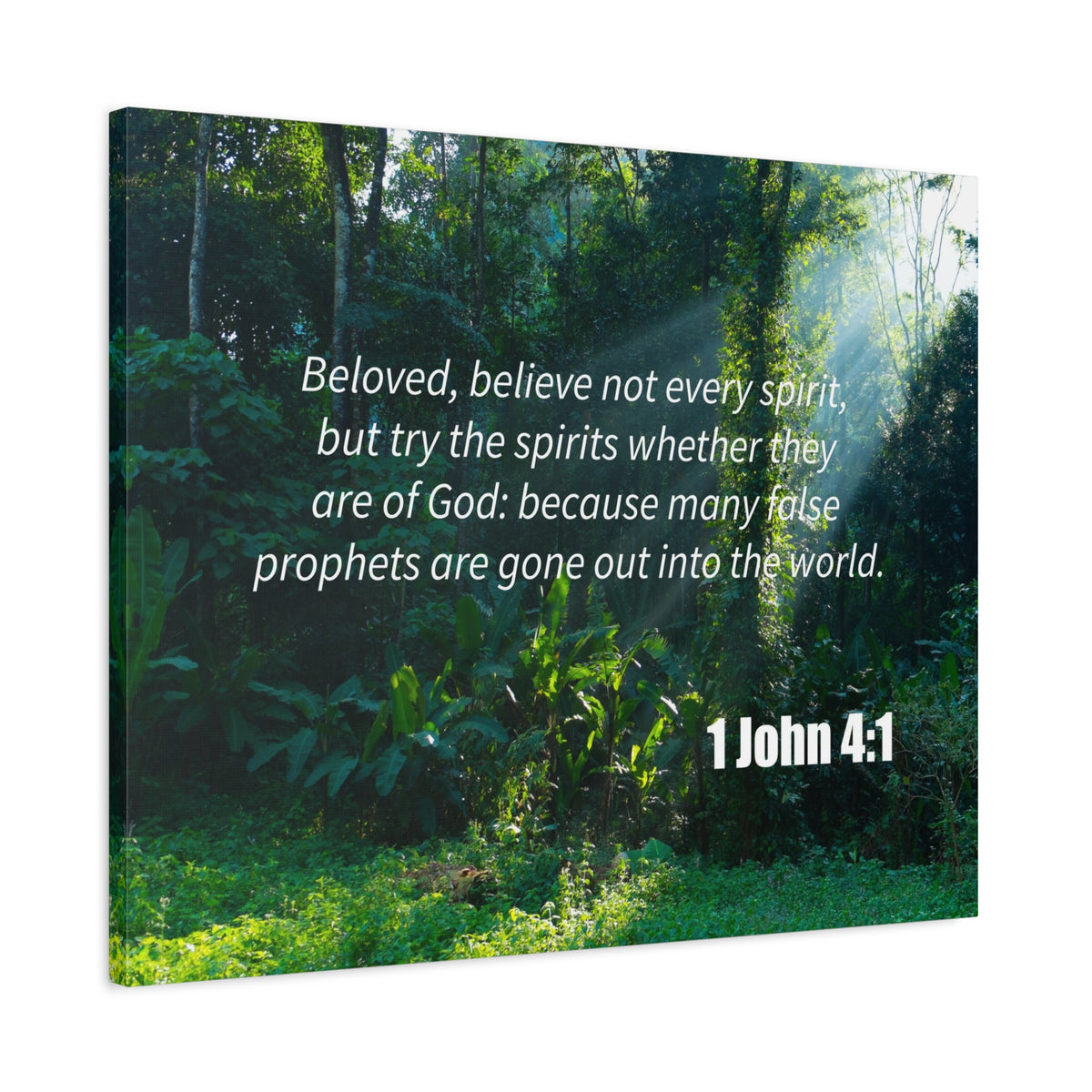 Scripture Canvas False Prophets 1 John 4:1 Christian Wall Art Bible Verse Print Ready to Hang