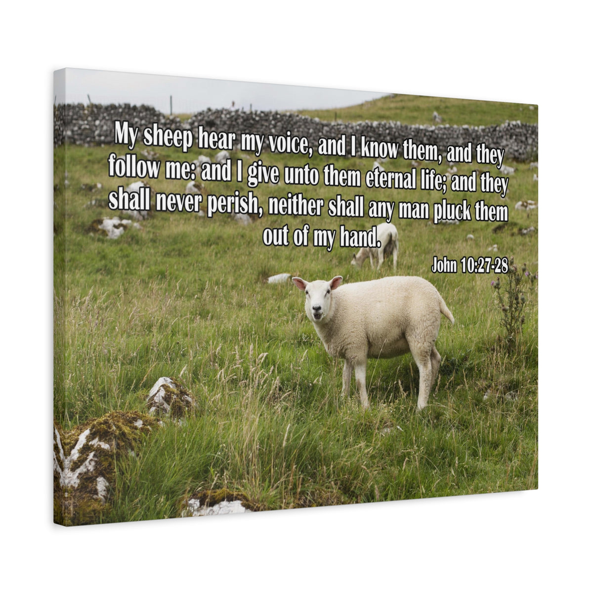 Scripture Canvas Hear My Voice John 10:27-28 Christian Wall Art Bible Verse Print Ready to Hang