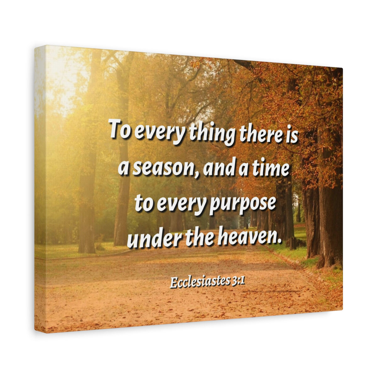 Scripture Canvas Purpose Ecclesiastes 3:1 Christian Wall Art Bible Verse Print Ready to Hang