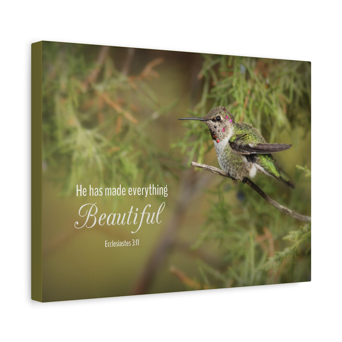 Scripture Canvas Everything Beautiful Ecclesiastes 3:11 Christian Wall Art Bible Verse Print Ready to Hang