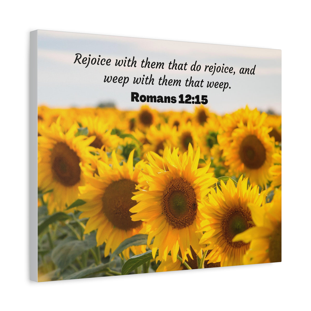 Scripture Canvas Rejoice With Them Romans 12:15 Sunflower Christian Wall Art Bible Verse Print Ready to Hang