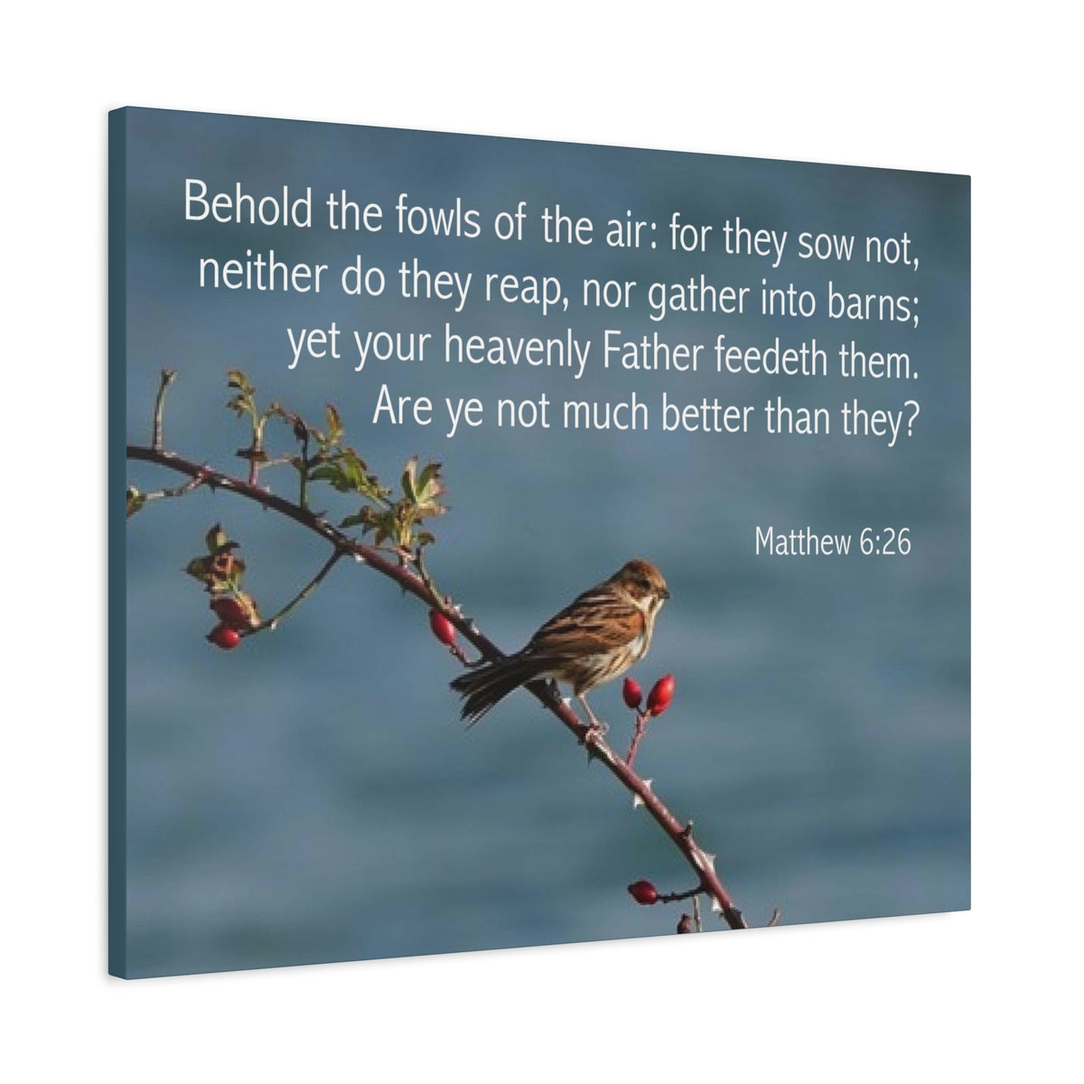 Scripture Canvas Behold The Fowls Matthew 6:26 Christian Wall Art Bible Verse Print Ready to Hang