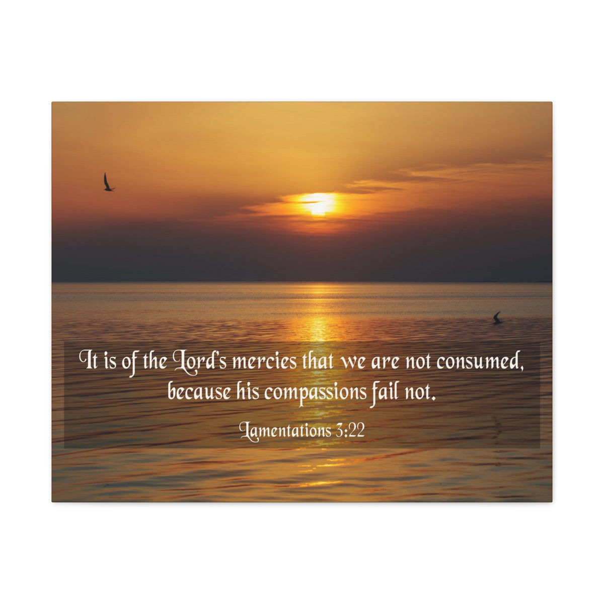 Scripture Canvas Lord's Mercies Lamentations 3:22 Christian Wall Art Bible Verse Print Ready to Hang