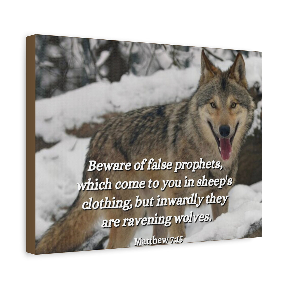 Scripture Canvas False Prophets Matthew 7:15 Christian Wall Art Bible Verse Print Ready to Hang