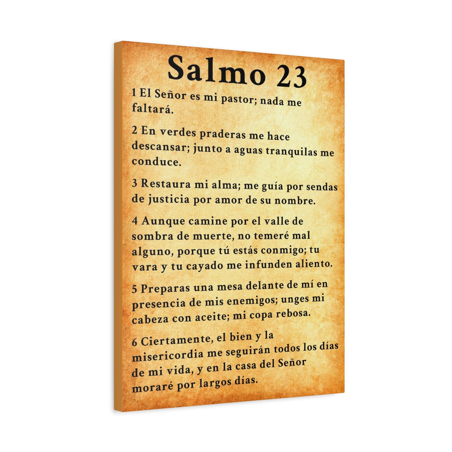 Scripture Walls Salmo 23 Chapter Gold Christian Wall Art Print Ready to Hang Unframed