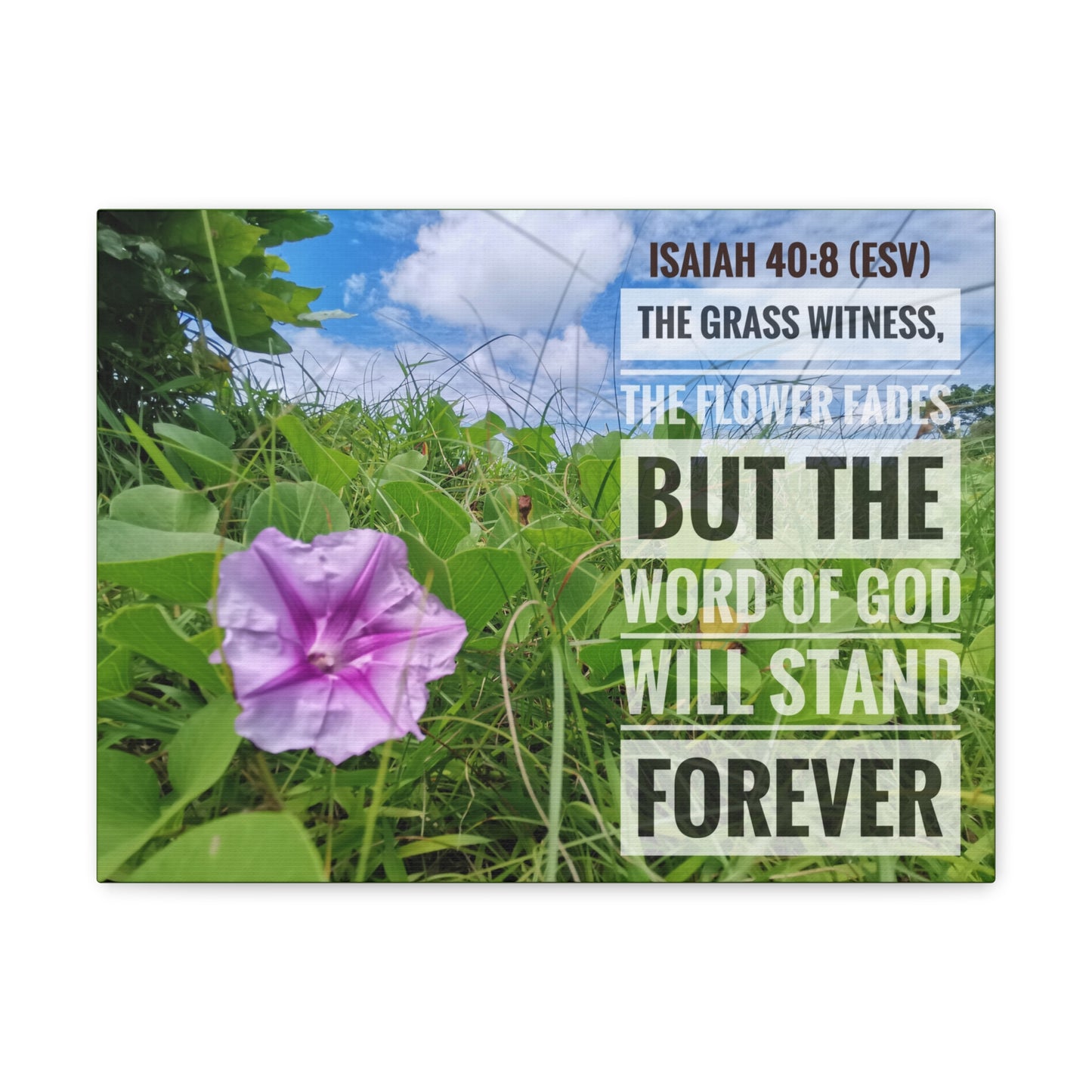 Will Stand Forever Isaiah 40:8 Bible Verse Canvas Christian Wall Art Ready to Hang