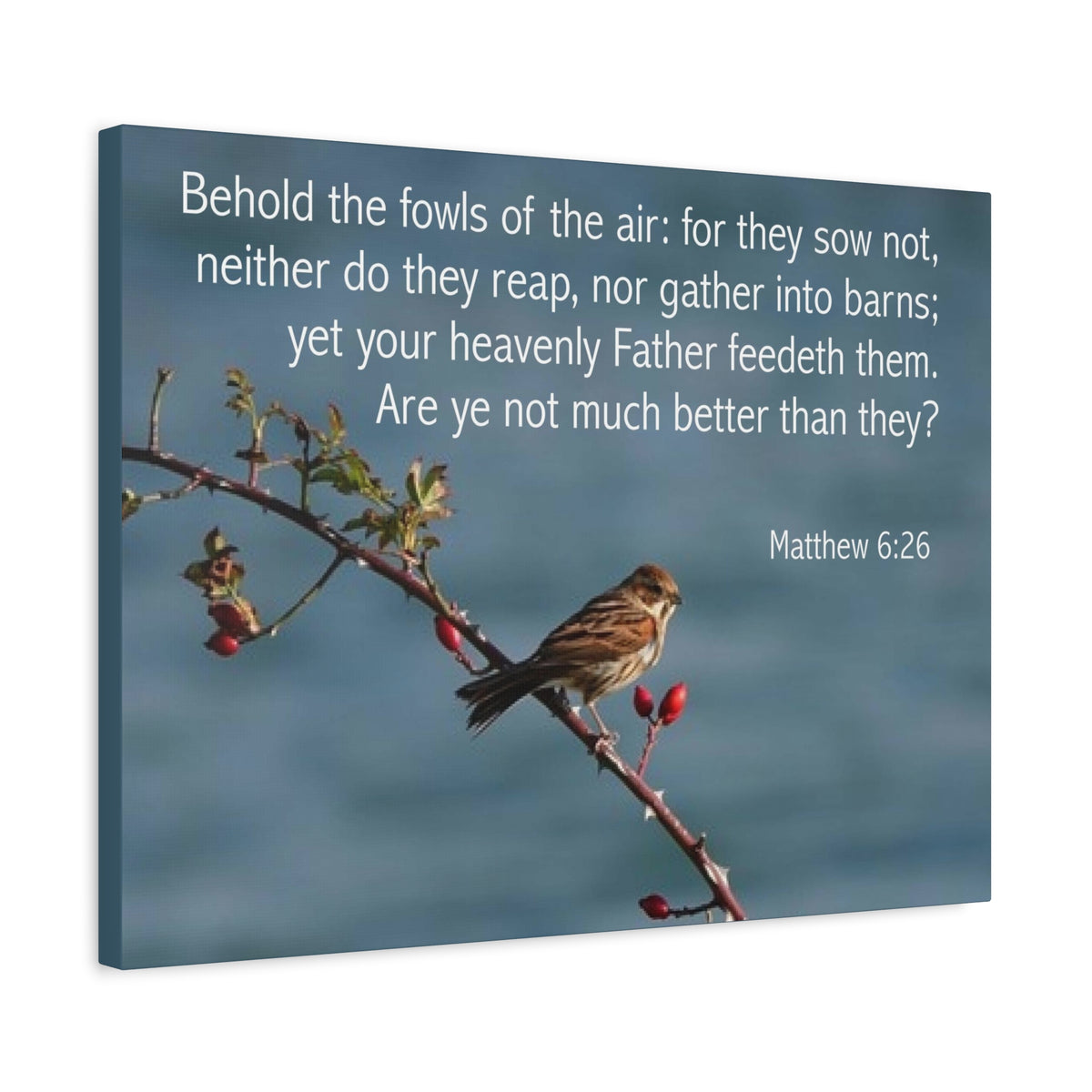 Scripture Canvas Behold The Fowls Matthew 6:26 Christian Wall Art Bible Verse Print Ready to Hang