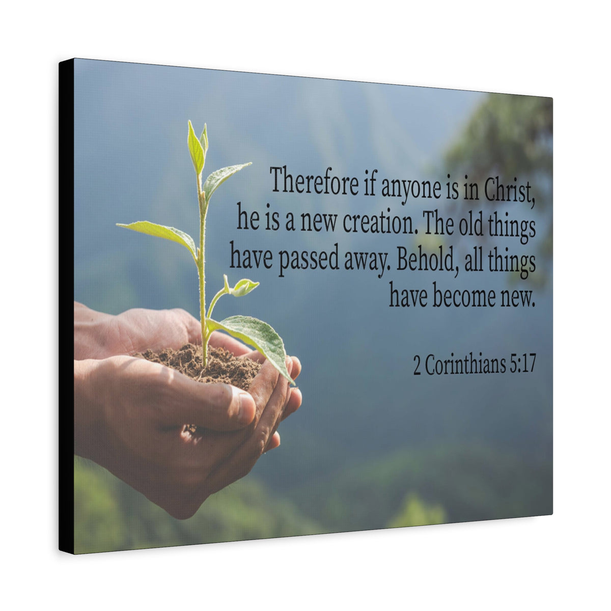 Scripture Canvas Anyone is a New Creation 2 Corinthians 5:17 Christian Wall Art Bible Verse Print Ready to Hang