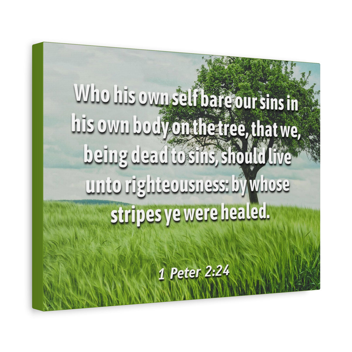 Scripture Canvas Live Unto Righteousness 1 Peter 2:24 Christian Wall Art Bible Verse Print Ready to Hang