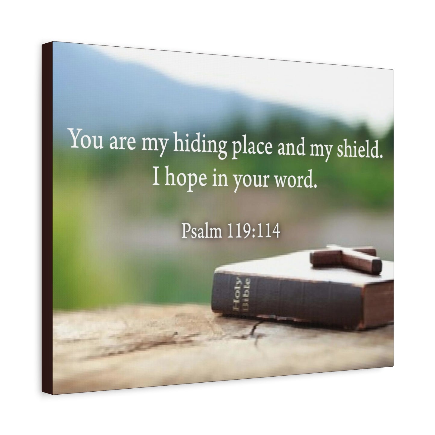 Scripture Walls Hiding Place Psalm 119:114 Bible Verse Canvas Christian Wall Art Ready to Hang