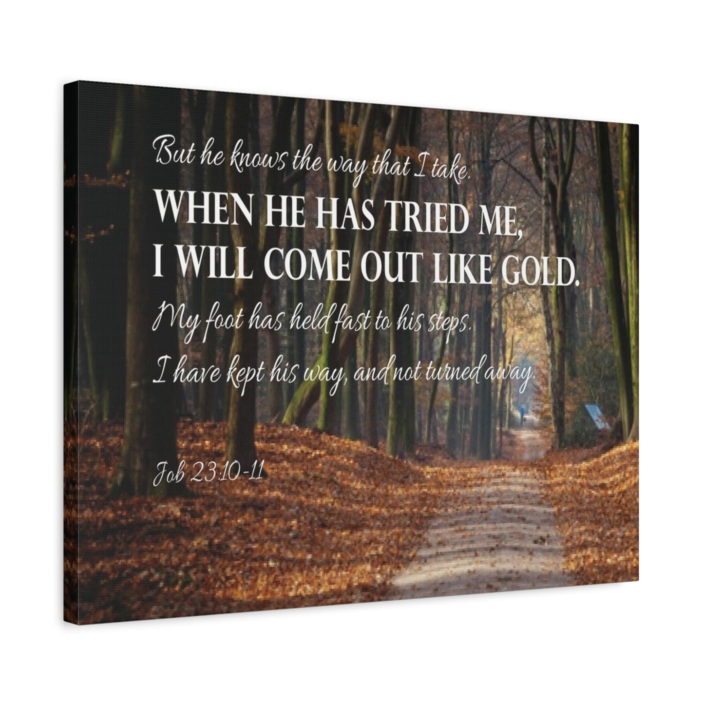 Bible Verse Canvas Come Out Like Gold Job 23:10-11 Scripture Wall Art Christian Home Decor