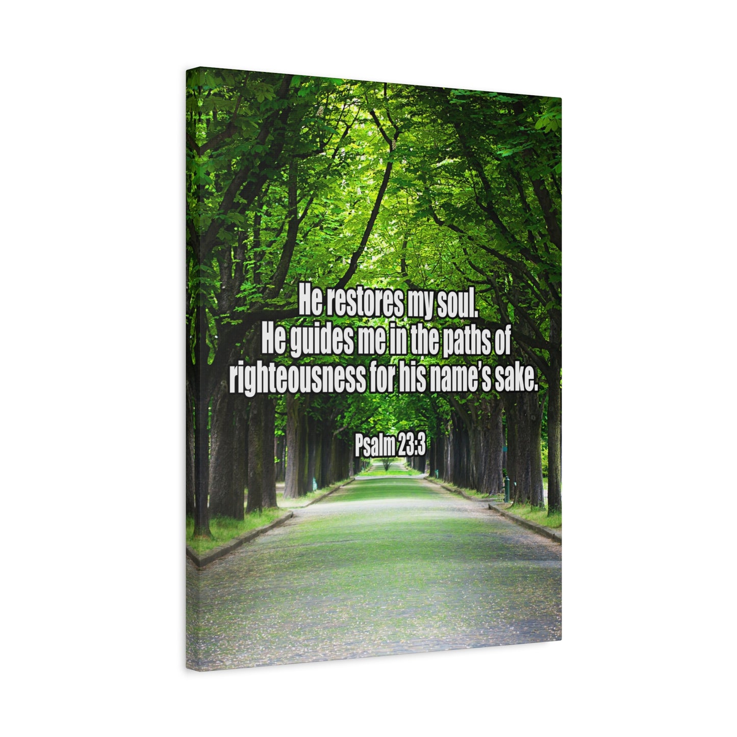 Bible Verse Canvas You Restore My Soul Psalm 23:3 Wall Art Christian Home Decor