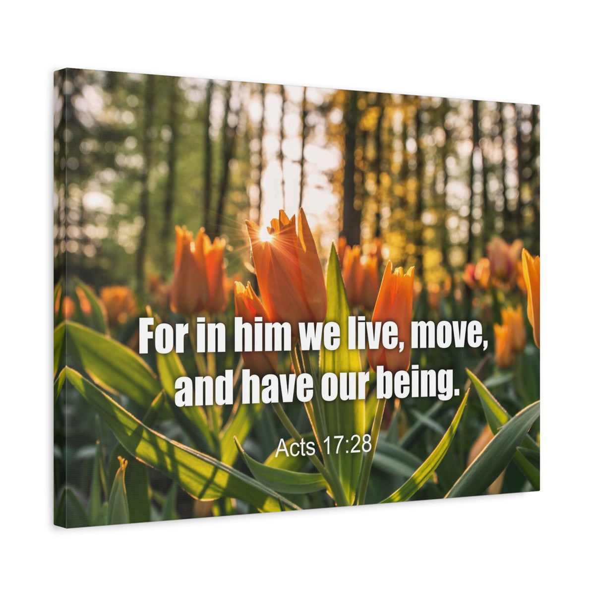 Scripture Canvas Our Being Acts 17:28 Christian Wall Art Bible Verse Print Ready to Hang