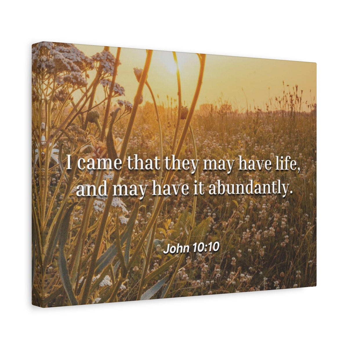 Scripture Canvas Abundantly John 10:10 Christian Wall Art Bible Verse Print Ready to Hang