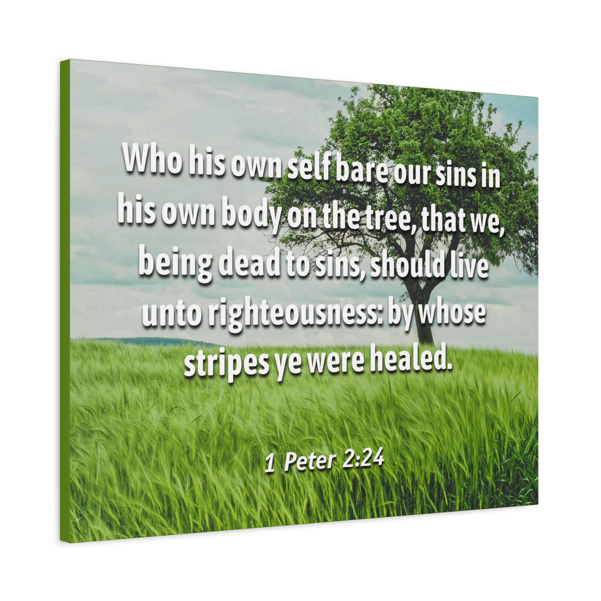 Scripture Canvas Live Unto Righteousness 1 Peter 2:24 Christian Wall Art Bible Verse Print Ready to Hang