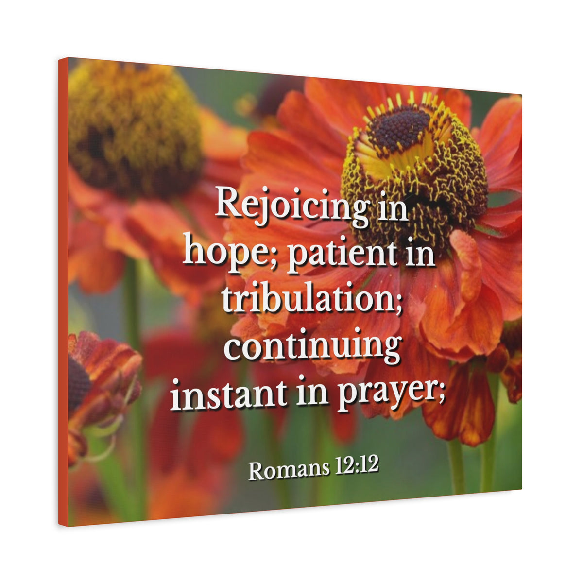 Scripture Canvas Rejoicing In Hope Romans 12:12 Christian Wall Art Bible Verse Print Ready to Hang