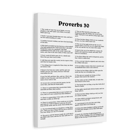 Scripture Walls Proverbs Chapter 30 White Bible Canvas Christian Wall Art Ready to Hang Unframed