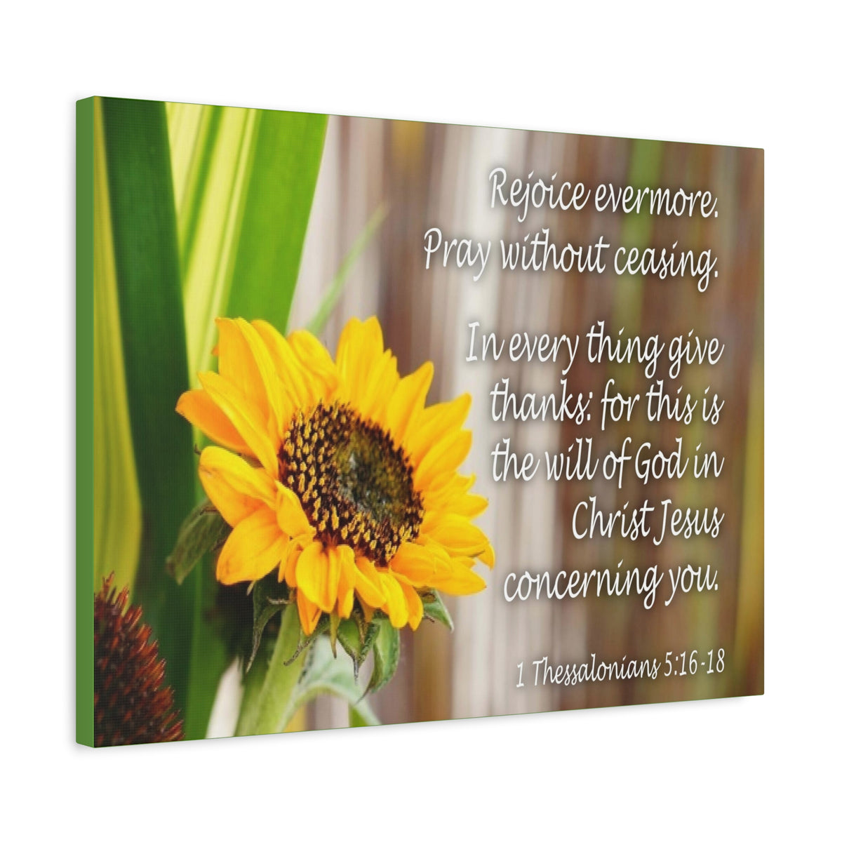 Scripture Canvas Rejoice Evermore 1 Thessalonians 5:16-18 Christian Wall Art Bible Verse Print Ready to Hang