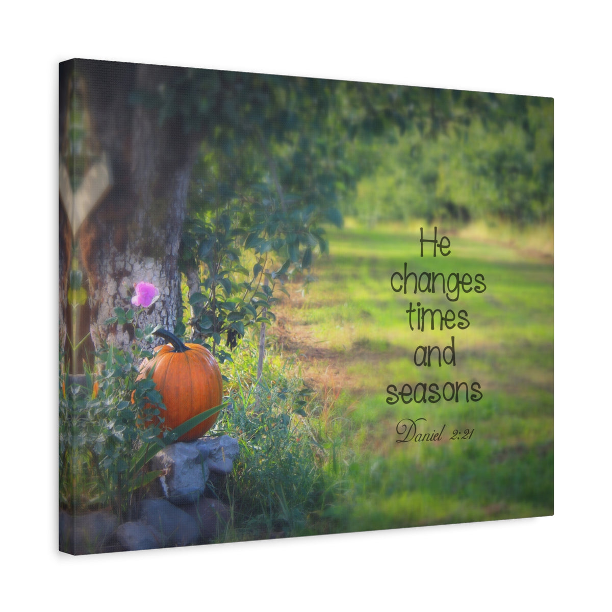 Scripture Canvas Times And Seasons Daniel 2:21 Christian Wall Art Bible Verse Print Ready to Hang