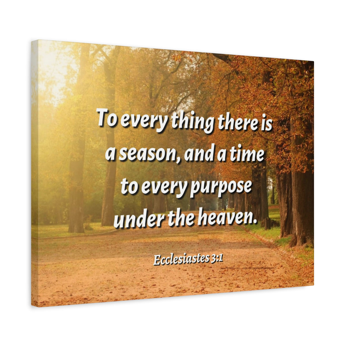 Scripture Canvas Purpose Ecclesiastes 3:1 Christian Wall Art Bible Verse Print Ready to Hang