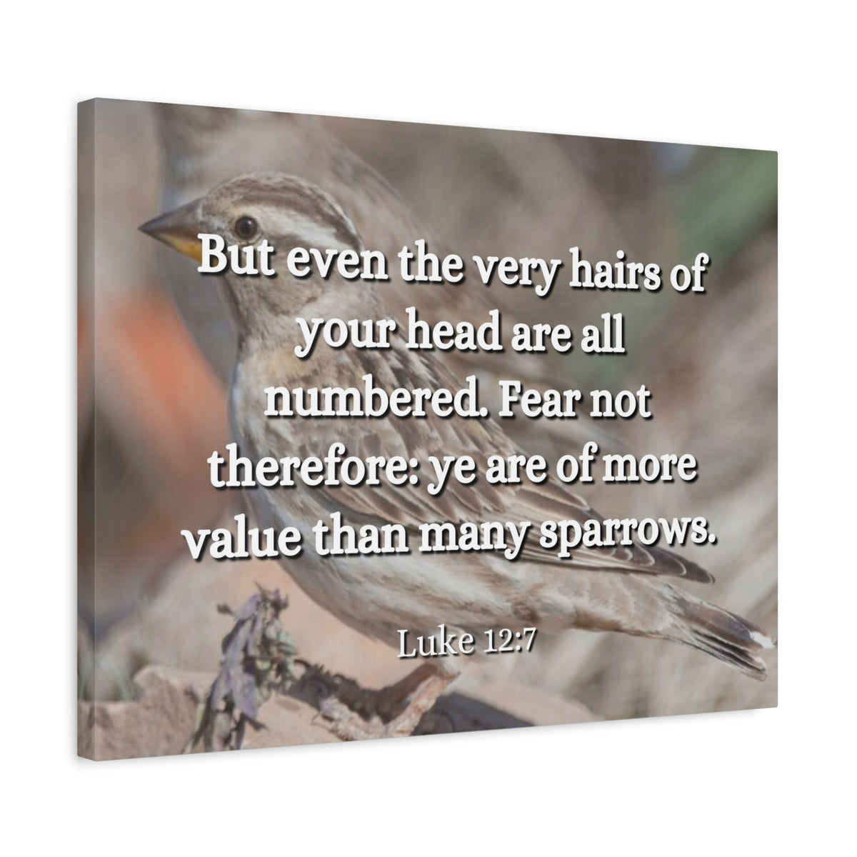Scripture Canvas Forgotten Luke 12:7 Christian Wall Art Bible Verse Print Ready to Hang