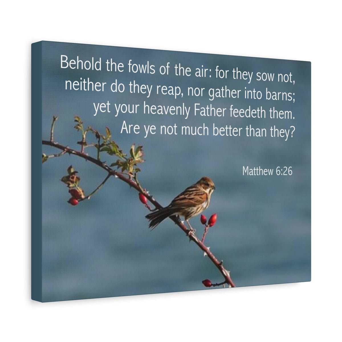 Scripture Canvas Behold The Fowls Matthew 6:26 Christian Wall Art Bible Verse Print Ready to Hang